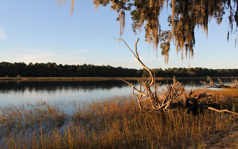 Near Savannah GA