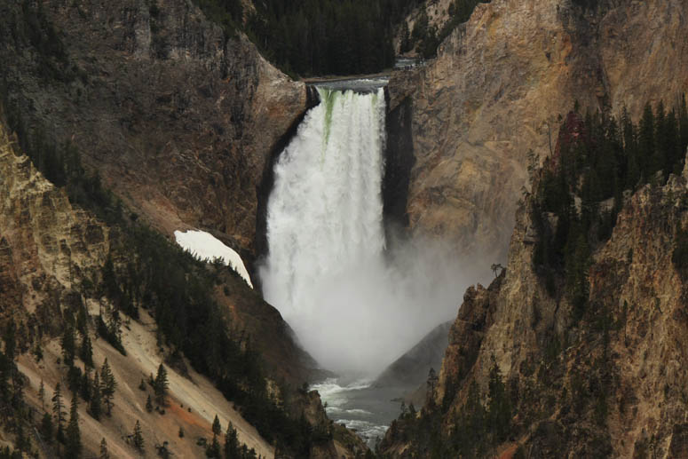 Yellowstone Falls