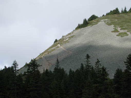 Scree Field Hikers