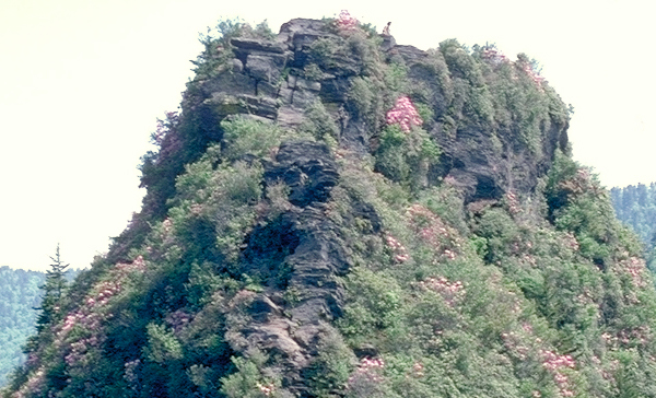 Chimney Tops Up Close