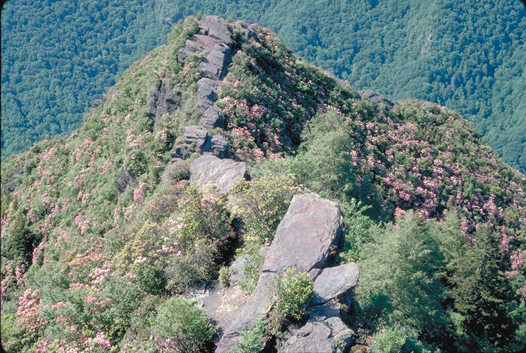 Chimney Tops Second Smaller Summit