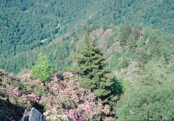 Loop Below Chimney Tops