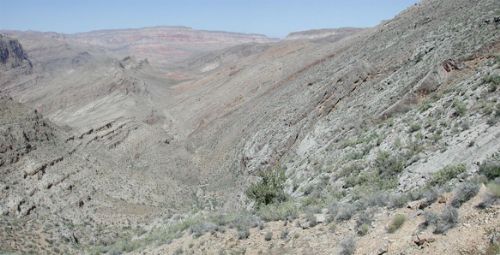 The view from the Warthog Down Cache