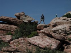 Lil Devil up on the rocks on the southern part of the rocks