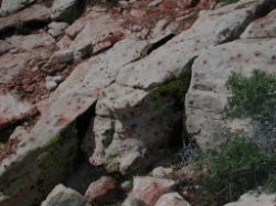 The pattern on the rocks looked like the measles.