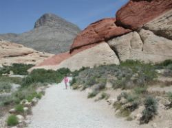 Walking back from the quarry area 2