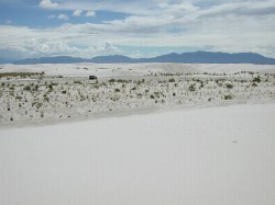 Dunes getting more sandy